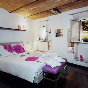 Domus Paradiso City Center Apartament